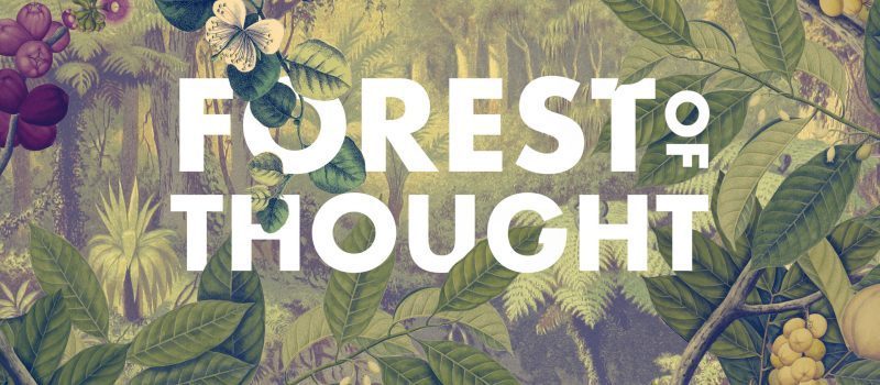 The cover of forest of thought amidst climate change.
